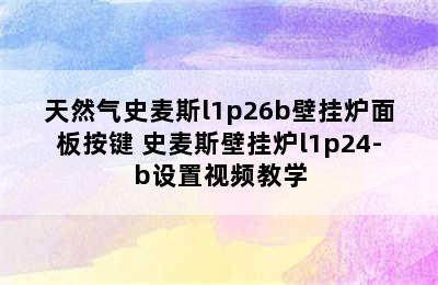 天然气史麦斯l1p26b壁挂炉面板按键 史麦斯壁挂炉l1p24-b设置视频教学